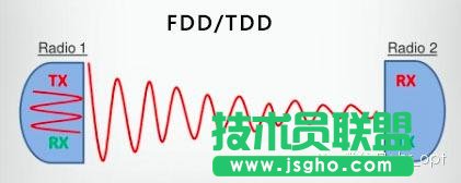 FDDTDDţNDD