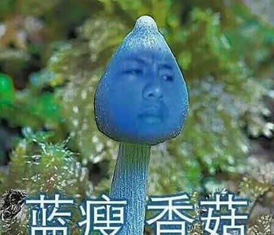 {㹽ʲô{㹽ҕl̎_΢