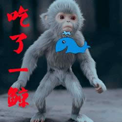 青云志小灰表情包