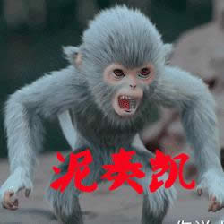 青云志小灰表情包