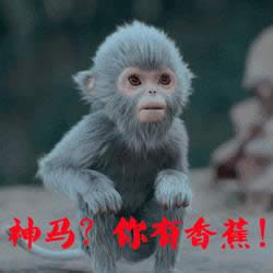 青云志小灰表情包