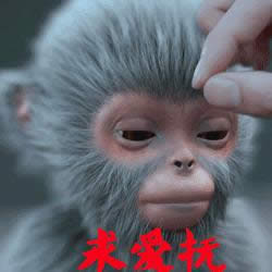 青云志小灰表情包