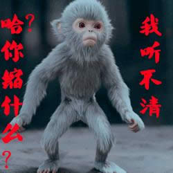 青云志小灰表情包