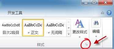 “樣式”選項