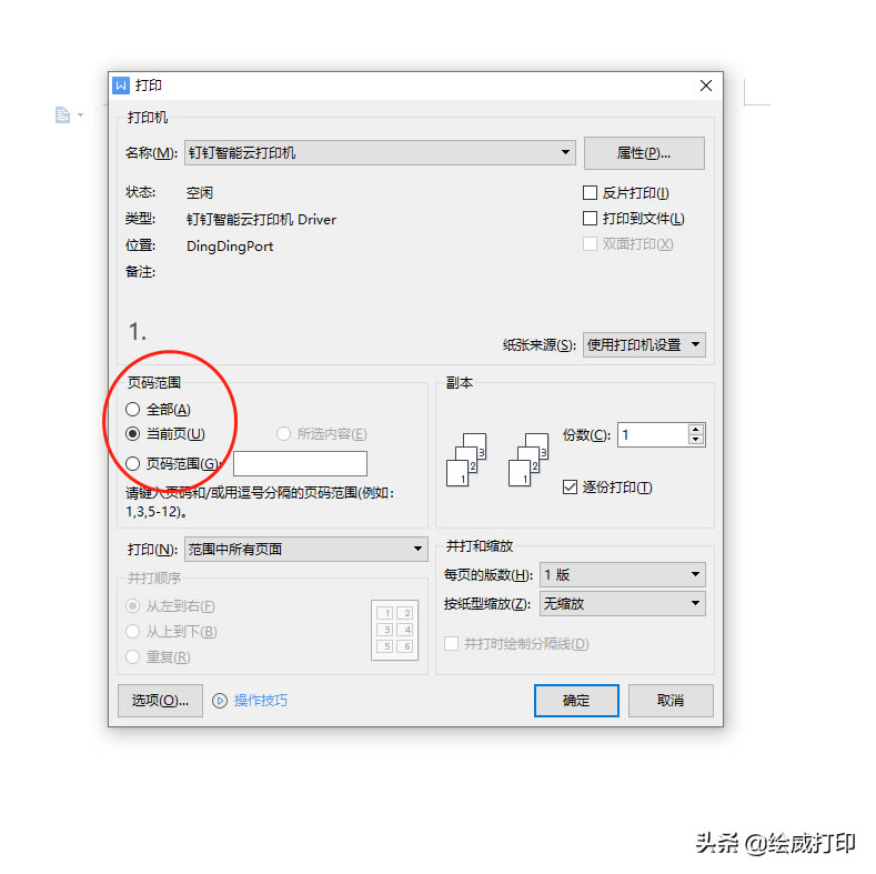 ӡCpԔpӡ̳́