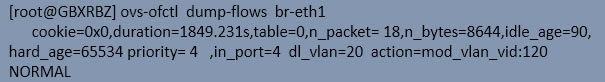  br-eth1  phy-br-eth1 յethernet frame rȾȥ鿴local-vlan  global-vlanһӳ