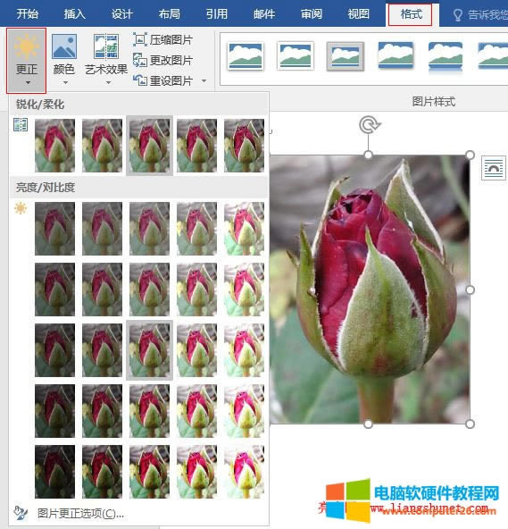 Word 2016  DƬJ/ữ/ȶȣ{