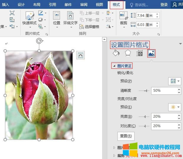 Word 2016 ԶxDƬȺ͌ȶ