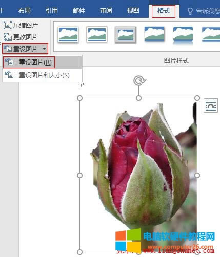 Word 2016 ODƬü߀ԭȥЧ