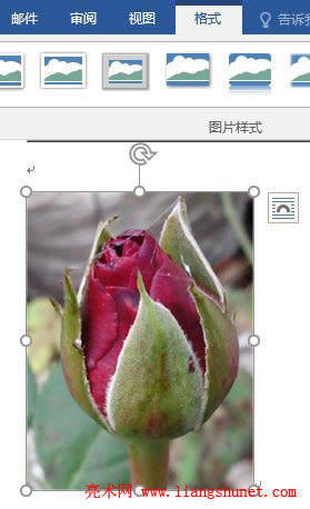 Word 2016 替換圖片