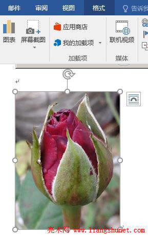 Word2016 刪除圖片