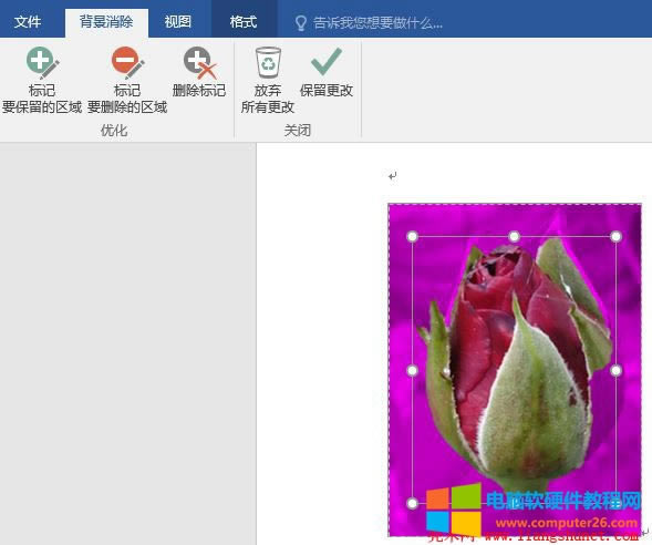 Word 2016 復雜圖片刪除背景