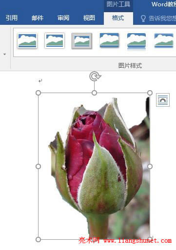 Word 2016 圖片刪除標記，保留更改