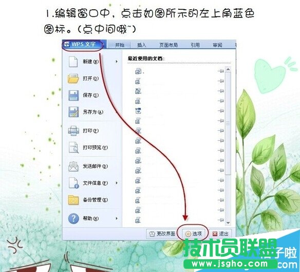 WPS˳ôʹ