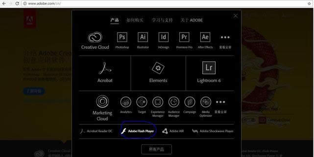 解決win10系統網頁視頻不能播放的方法