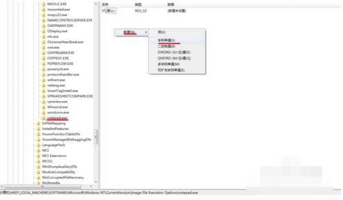 鏡像劫持操作