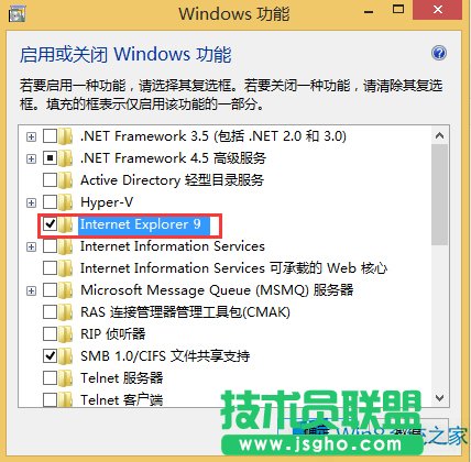 Windows8ôжdIE9g[