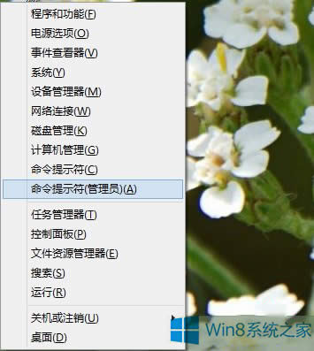 Win8.1ϵyc_ʼo]зôk