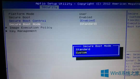 ȥWin8.1ϵysecure bootδ_ˮ