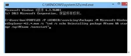 Windows8.1系統卸載IE11瀏覽器失敗的處理方法