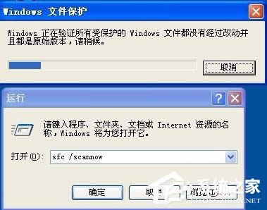 XPϵyOհޏ