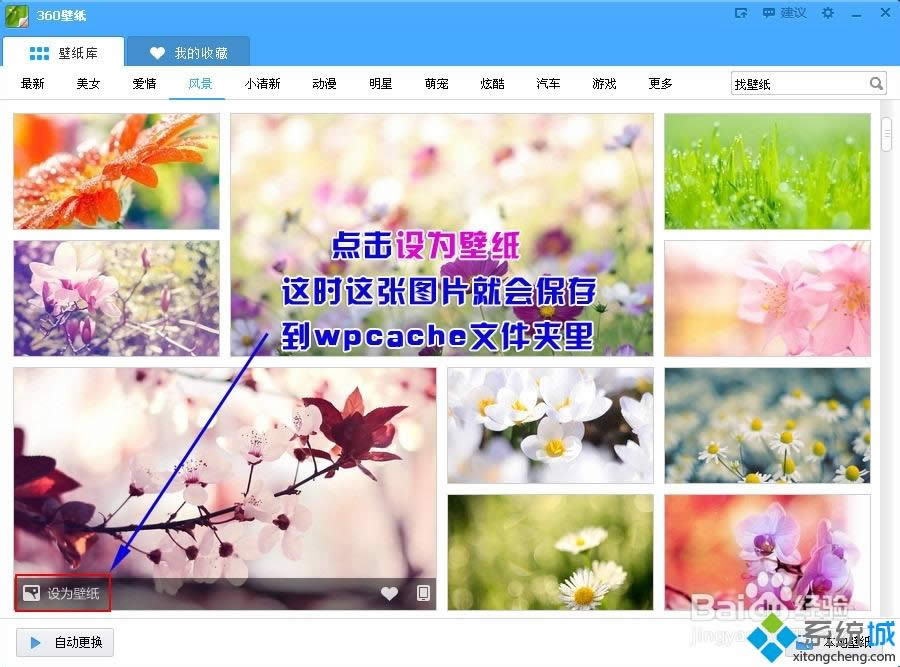 XP系統如何自動批量下載360壁紙